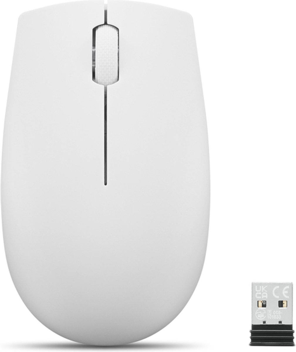 Lenovo 300 WIRELESS MOUSE?GREY muis Kantoor Ambidextrous RF Draadloos Optisch 1000 DPI