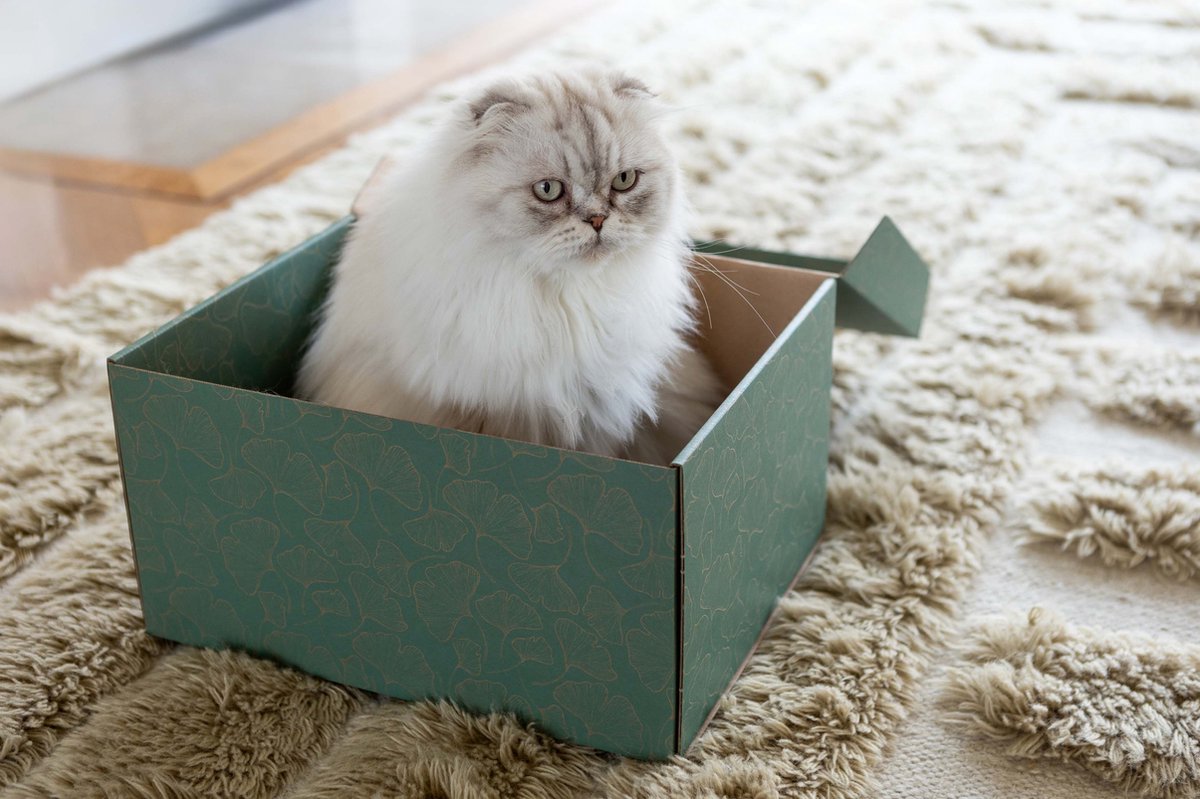 Dutch Design Brand Dutch Design Storage Box Opbergdoos Opbergbox Bewaardoos Ginkgo Biloba Bladeren Gorgeous Ginkgo