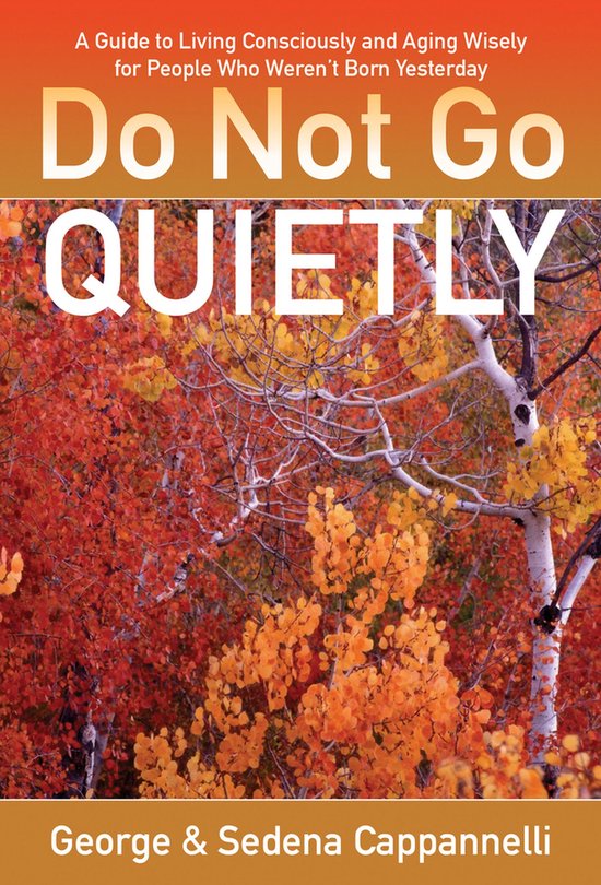 Do Not Go Quietly - cover