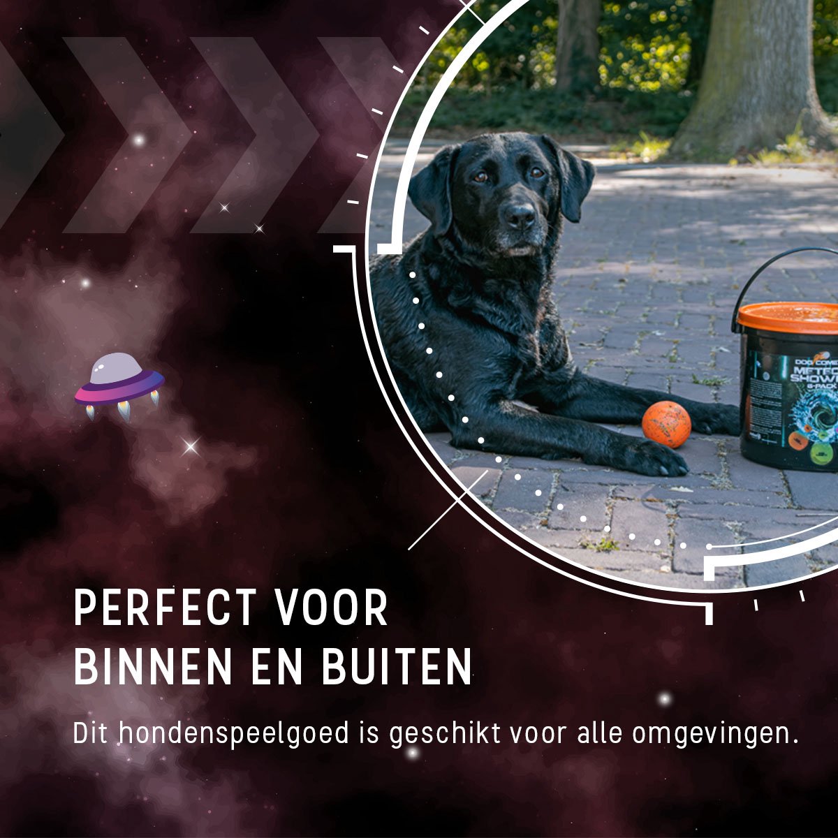 Dog Comets Hondenballen bucket Ø6 cm - Hondenspeelgoed - 100% Natuurlijk Rubber - Stuiterend en Drijvend Honden Speelgoed - 6 Stuks thumbnail 5