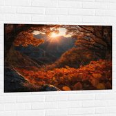 Muursticker - Bergen - Zon - Bomen - Bos - Herfst - 105x70 cm Foto op Muursticker