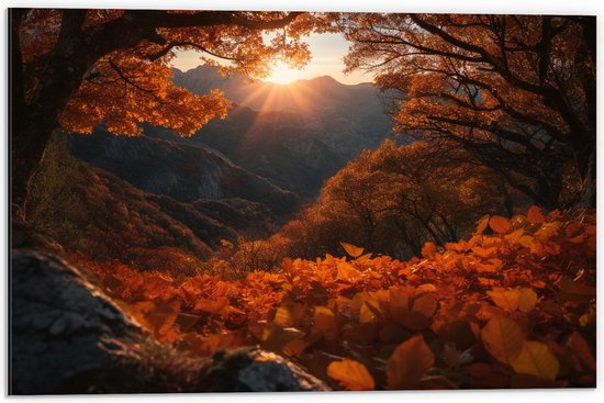 Dibond - Bergen - Zon - Bomen - Bos - Herfst - 60x40 cm Foto op Aluminium (Met Ophangsysteem)