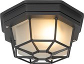QAZQA bri - Landelijke Plafondlamp voor buiten - 1 lichts - Ø 213 mm - Donkergrijs - Buitenverlichting
