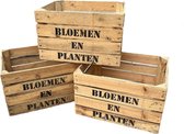 Gebruikte Fruitkist opdruk Bloemen en Planten - Set van drie - L50xB40xH30 cm - Leuk voor moestuintje of winkelinrichting! - DecoLis