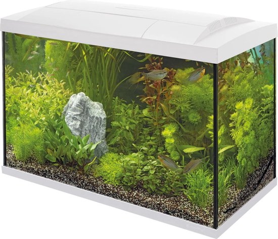 SuperFish Aquarium Start 70 Tropical - 58 x 30 x 45 cm - 70 L - Wit