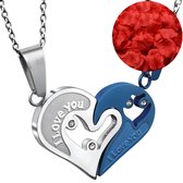 Hartjes Ketting Set + Rozenblaadjes = Valentijn Cadeautje voor Hem en Haar - Valentijnsdag voor Mannen Cadeau Kadootjes