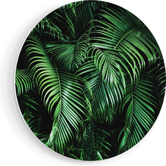 Artaza Forex Muurcirkel Tropische Palm Bladeren - Groen - 90x90 cm - Groot - Wandcirkel - Rond Schilderij - Muurdecoratie Cirkel