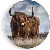 Artaza Forex Cercle mural Vache Highlander écossaise - Couleur - 90x90 cm - Groot - Cercle mural - Peinture ronde - Cercle de Décoration murale