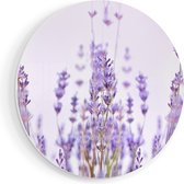 Artaza Forex Muurcirkel Paarse Lavendel Bloemen - 90x90 cm - Groot - Wandcirkel - Rond Schilderij - Muurdecoratie Cirkel
