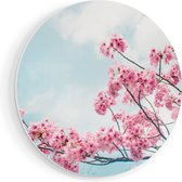 Artaza Forex Muurcirkel Roze Bloesemboom - Bloemen - 70x70 cm - Wandcirkel - Rond Schilderij - Wanddecoratie Cirkel - Muurdecoratie