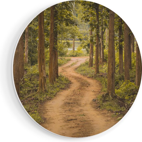 Artaza Forex Muurcirkel Pad In Het Bos Met Bomen - 50x50 cm - Klein - Wandcirkel - Rond Schilderij - Muurdecoratie Cirkel