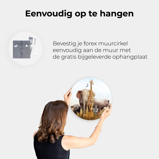 Artaza Cercle mural Forex Animaux africains sur l'herbe - Afrique - 40x40 cm - Klein - Cercle mural - Peinture ronde - Cercle de Décoration murale