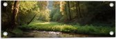 Tuinposter – Bos - Natuur - Water - Beekje - Stenen - Bomen - 60x20 cm Foto op Tuinposter (wanddecoratie voor buiten en binnen)