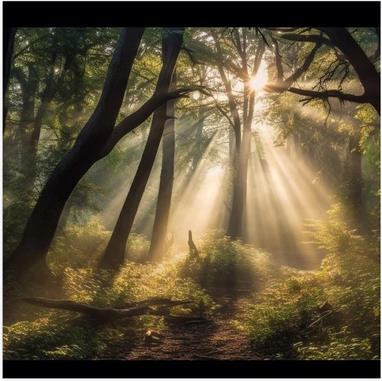 Poster Glanzend – Bos - Planten - Bomen - Zonnestralen - Zon - 50x50 cm Foto op Posterpapier met Glanzende Afwerking