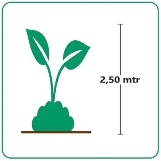 Illustratie van een jonge plant met twee bladeren, met een hoogte van 2,50 meter.