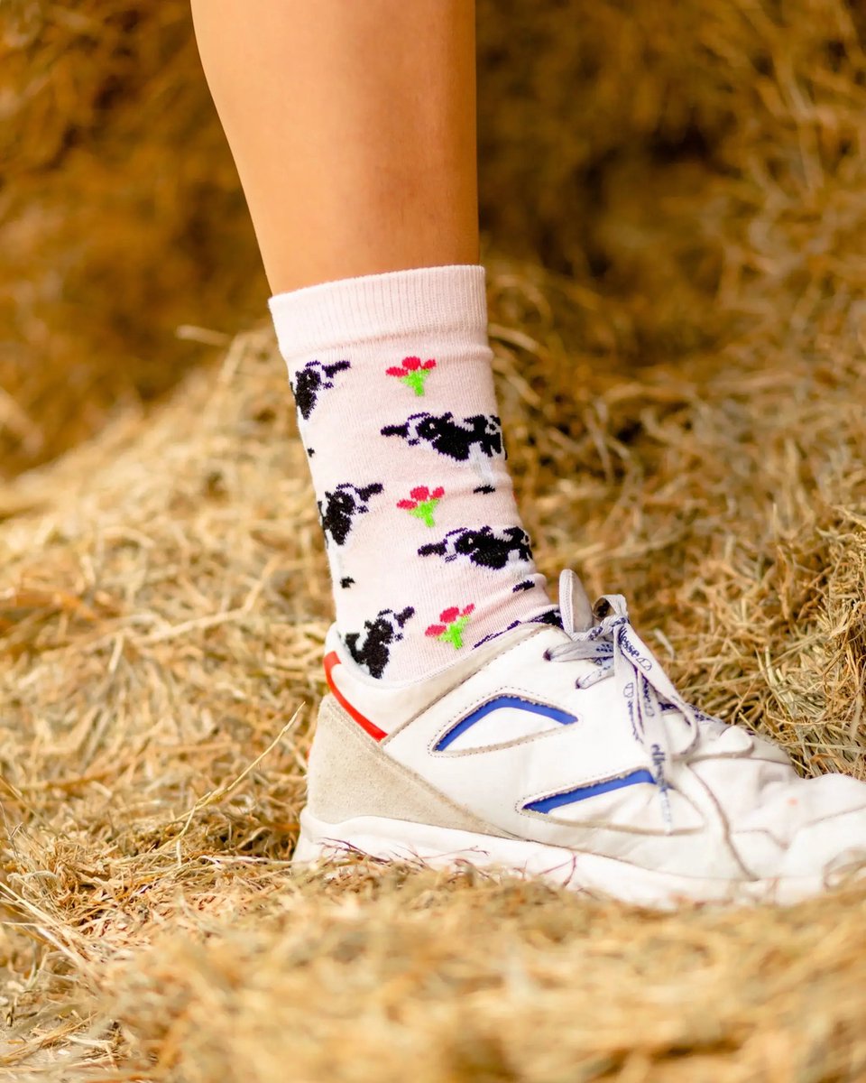 Koetjes voor je Voetjes sok | Koe sok | Koesokken | Koeiensok | Boerensok | Melksok | Multi-color | Maat 36-40 | Herensokken en damessokken | Leuke, grappig sokken | Funny socks that make you happy | Sock & Sock