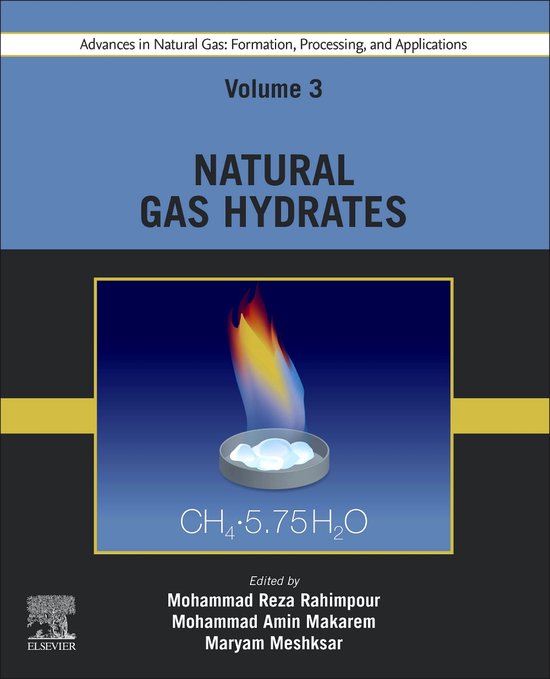 Advances in Natural Gas: Formation, Processing, and Applicat ... - cover