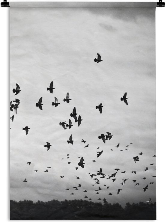 Wandkleed - Wanddoek - Dieren - Vogels - Wolken - Zwart - Wit - 60x90 cm - Wandtapijt