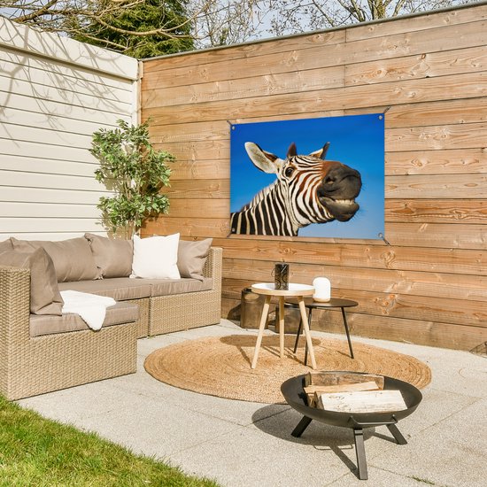Affiche de jardin zèbre rigolote 90x60 cm - Toile de jardin / Toile d'extérieur / Peintures d'extérieur (décoration de jardin)