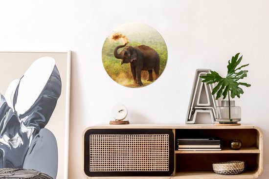 Wall Circle - Wall Circle Indoor - Éléphant de Nettoyage - 30x30 cm - Décoration murale - Peintures Ronds