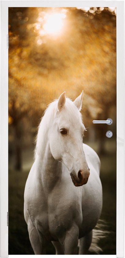 Affiche de porte - Cheval - Enfants - Automne - Animaux - Nature - Chambre d'enfant - Sticker de porte - Papier peint photo porte - Décoration de porte - Sticker autocollant - 80x205 cm - Chambre à coucher - Décoration de chambre