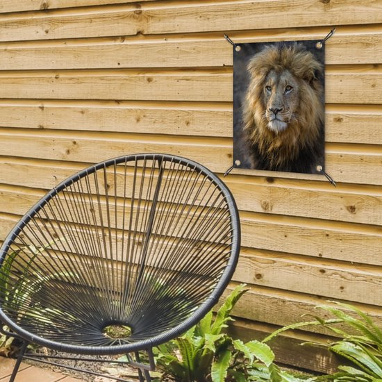 Décoration de Jardin Lion - Portrait - Sauvage - 30x40 cm - Toile de jardin