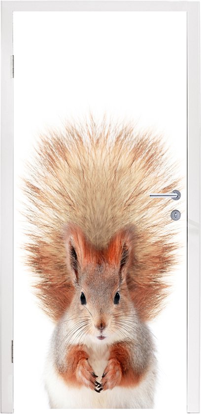 Sticker de porte Écureuil - Animaux - Nature - Oranje - Wit - 85x205 cm - Poster de porte