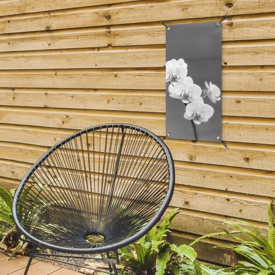 Poster de jardin Orchidée - Fleurs - Plante - Wit - Violet - 30x60 cm - Toile jardin - Poster extérieur