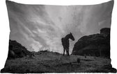 Buitenkussens - Tuin - Silhouet van een paard op het platteland in zwart-wit - 60x40 cm