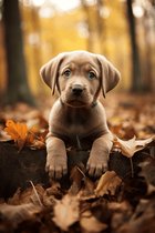 Puppy Poster | Hondenposter | Puppy in bos | Babydieren | Kinderposter | 61x91cm | Wanddecoratie | MW | Muurposter | Geschikt om in te lijsten