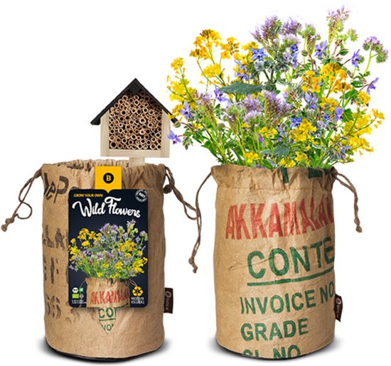 Kit de culture de fleurs sauvages pour abeilles