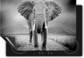 Chefcare Inductie Beschermer Olifant - Zwart Wit - 91,2x52 cm - Afdekplaat Inductie - Kookplaat Beschermer - Inductie Mat