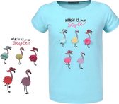 Glo-Story t-shirt flamingo's turquoise 122