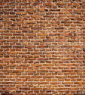 Fotobehang - Old Brick 225x250cm - Vliesbehang