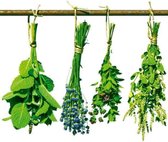 Fotobehang - Herbs 150x250cm - Vliesbehang