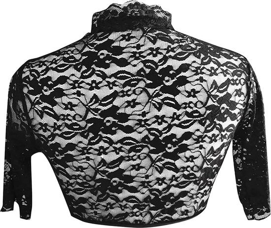 Blouse Kant Panelen Lange Mouw V-hals