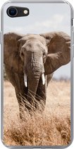 Geschikt voor iPhone SE 2020 hoesje - Olifant - Natuur - Dieren - Portret - Siliconen Telefoonhoesje