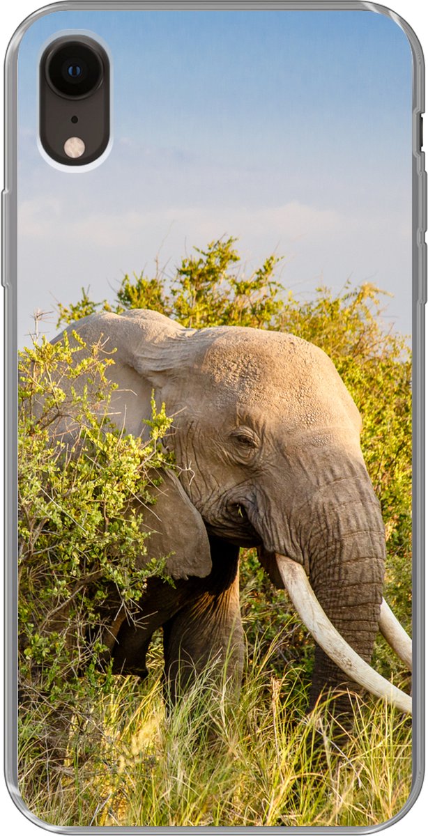 Telefoonhoesje Geschikt voor iPhone XR hoesje - Olifant - Dieren - Gras - Groen - Berg - Siliconen Telefoonhoesje Telefoonhoesje