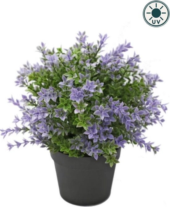 Kunstplant Buxus paars 22 cm UV - voor binnen en buiten
