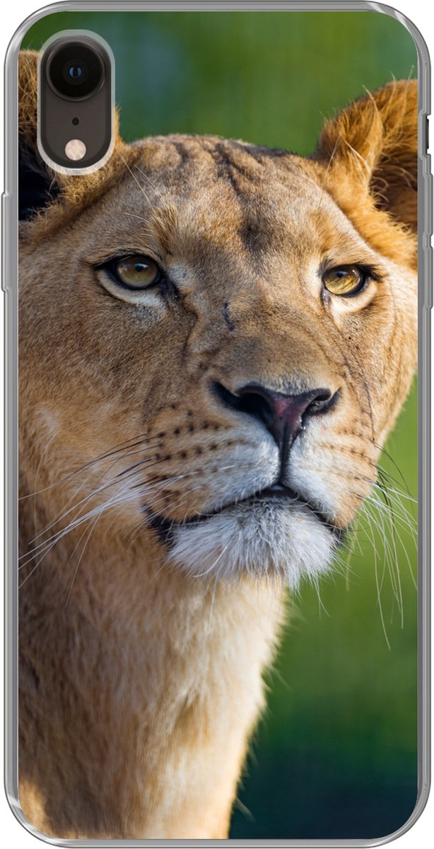 Telefoonhoesje Geschikt voor iPhone XR hoesje - Portret - Leeuw - Wild - Siliconen Telefoonhoesje Telefoonhoesje