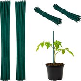 Relaxdays bamboestokken 30 cm - set van 100 . plantenstokken - groene tomatensteun - tuin