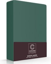 Premium Egyptisch percale katoen hoeslaken botanisch groen - 160x220 (lits-jumeaux extra lang) - meest luxe katoensoort - hogere weefdichtheid en garenfijnheid - perfecte pasvorm