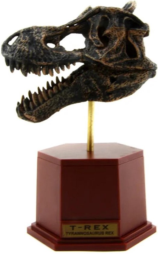 Tyrannosaurus Rex Schedel Fossiel Miniatuur - Prehistorie - Skelet - Geschiedenis - Dinosaurus - Dino - T-rex