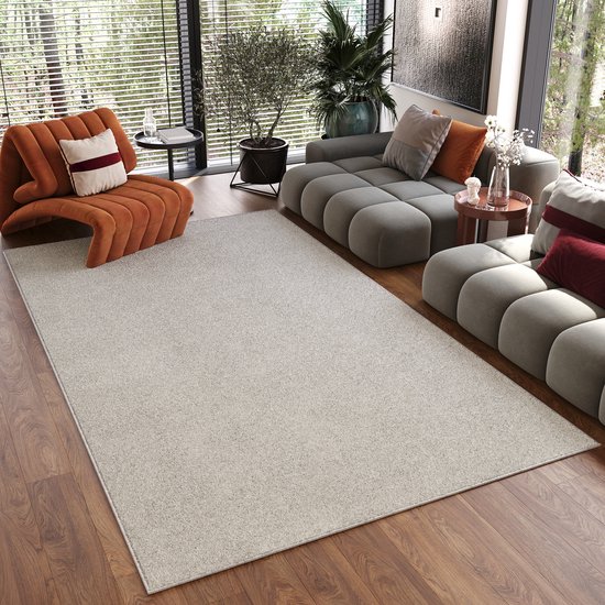 Tapis Tapiso Noyan Crème Antidérapant Lavable Tapis à Poils Ras Taille - 160x220