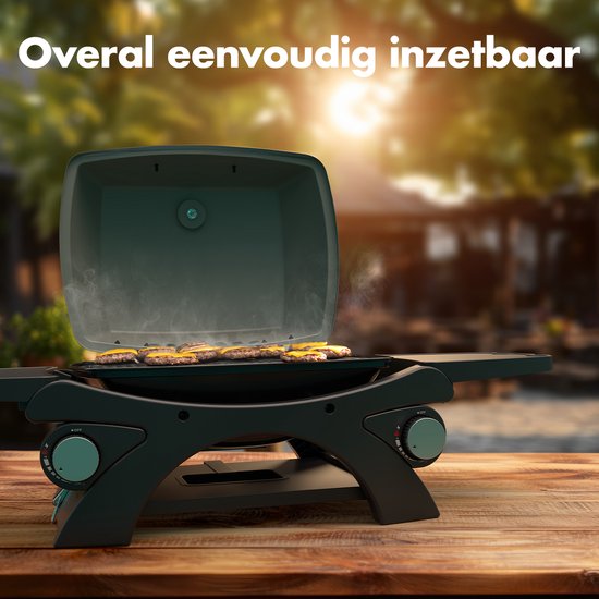 4 sets verstelbare grill hitteplaat schild hittetent vervangende onderdelen geschikt voor BBQ gasgrill