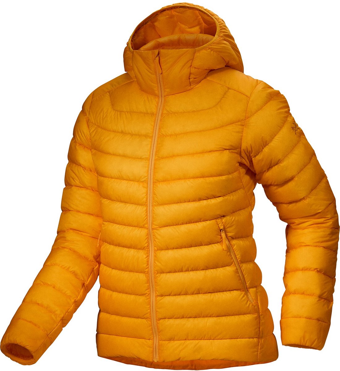 Arc’teryx cerium hoody w 7162 Edziza