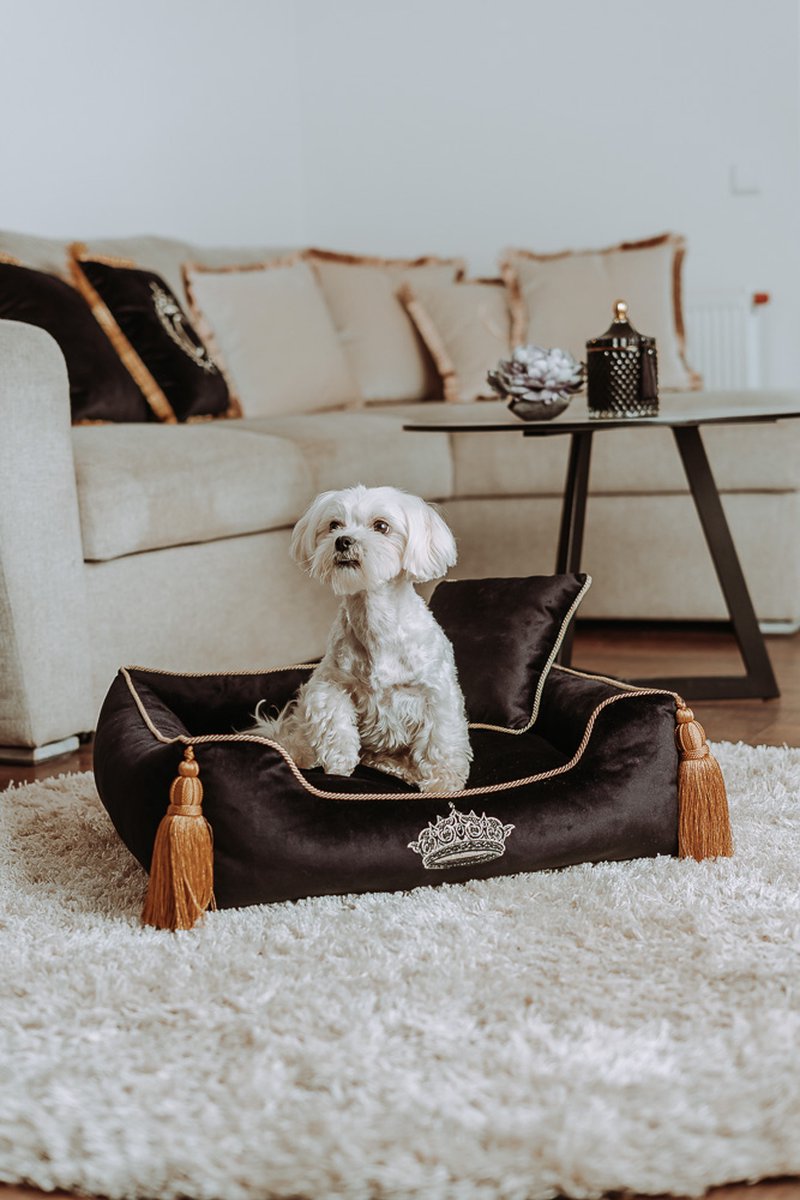 Luxe fluwelen vierkant huisdierenbed - Hondenbed - Velvet Dog Bed - Wasbaar - Zwart L