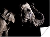 Poster Olifant - Zwart - Dieren - Natuur - 160x120 cm XXL