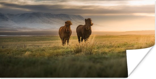 Poster Paarden - Lucht - Gras - 80x40 cm