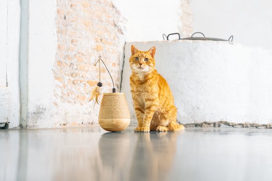 Oranje kat zit naast een speelgoedje met een touw en veertjes. Het speelgoed is van hout en touw.